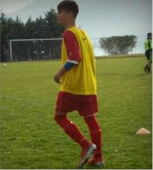 Μιχάλης Καραμήτρος